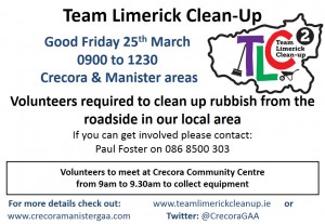 Team Limerick Clean-up flyer 2016